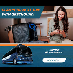 Greyhound
