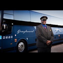 Greyhound1